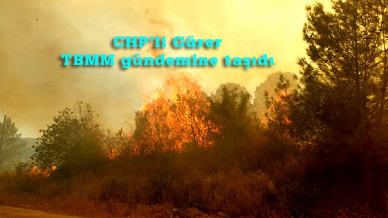 1.5 YILDA 3 BİN 720 ORMAN YANGINI