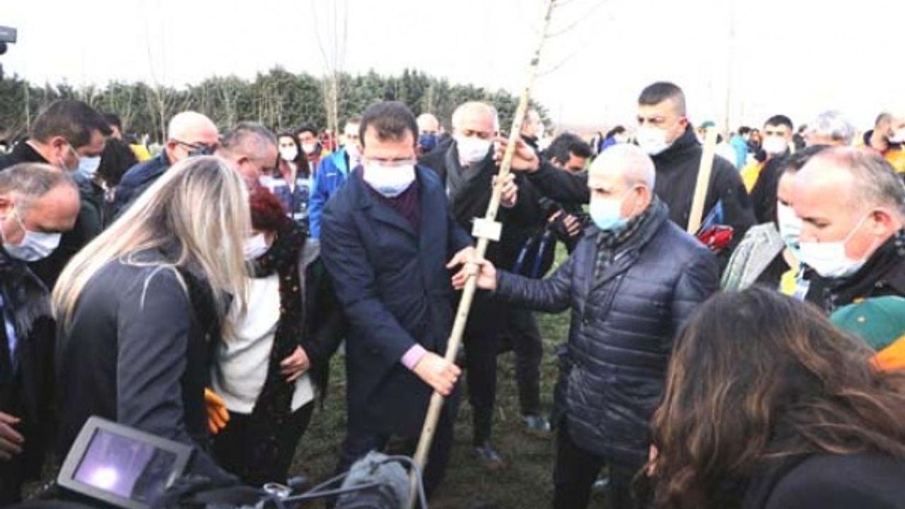 Akgün, 8 Mart Hatıra Ormanı’na ağaç dikti