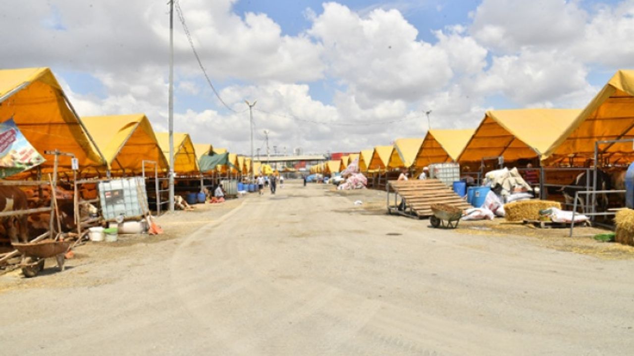 Beylikdüzü kurban satış yeri bayrama hazır