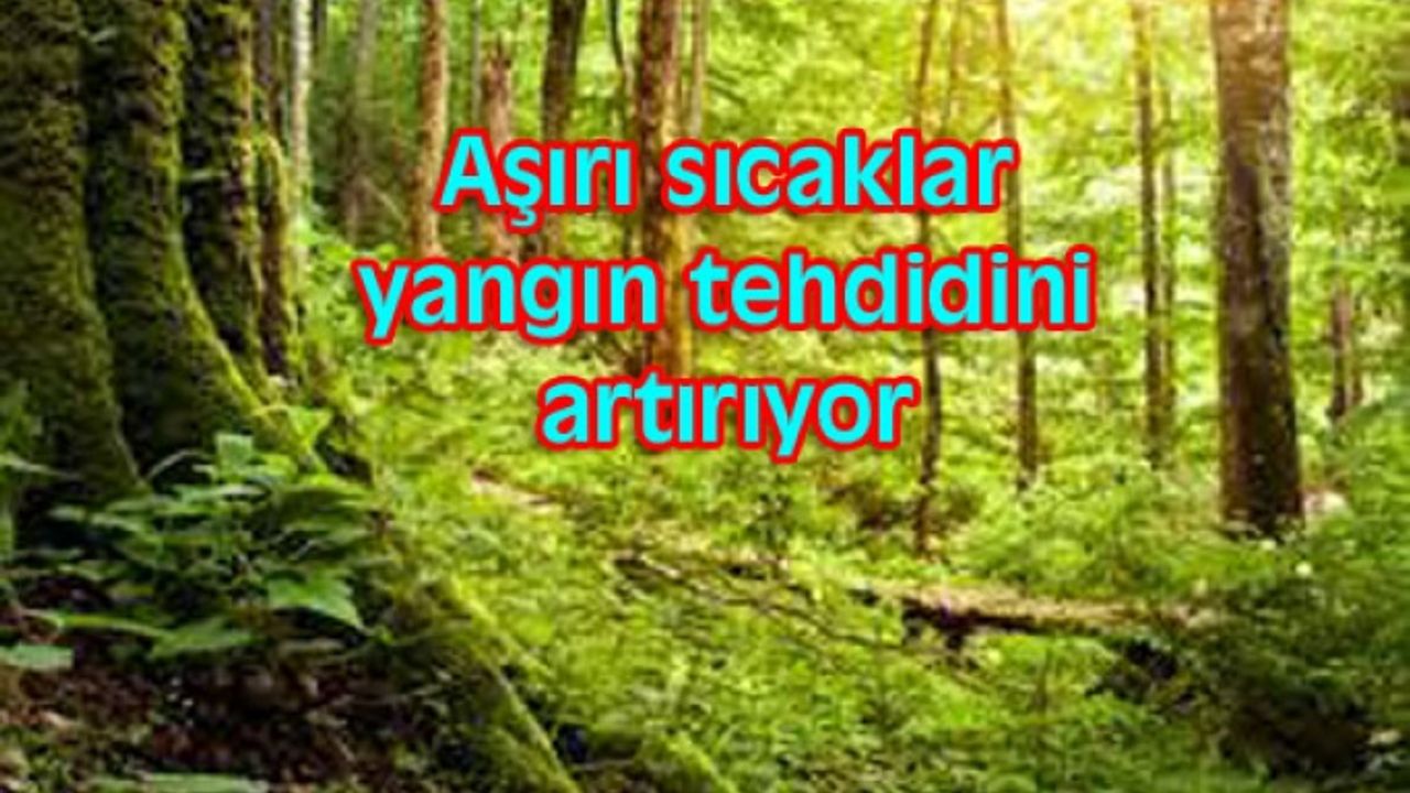 81 ilde ormanlara giriş yasaklandı