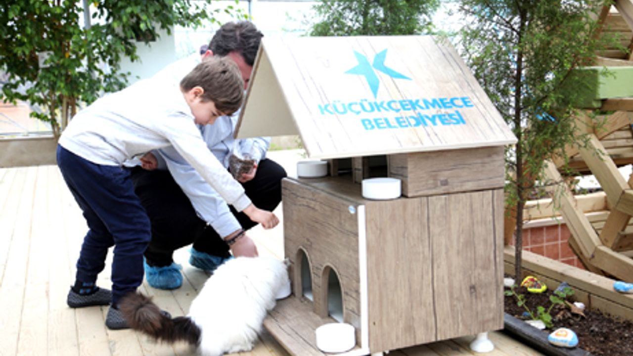 Küçükçekmece'de sevimli dostlara 6 ton mama
