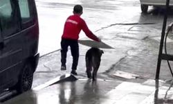 Köpeği yağmurdan koruyan çocuk başkanlıkta