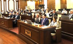 Çatılara Leylek Yuvası meclisten geçti