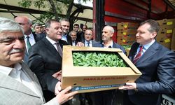 Silivri'de üretime fide desteği