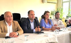 Gök: Operasyonlar ülke ve demokrasi sorunudur