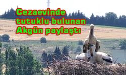 Üç yavrusuyla Cezaevi’ne umut oldu