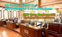 Kim bu oy vermeyenler?