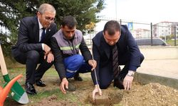 Silivri'de şehitler için fidan dikimi