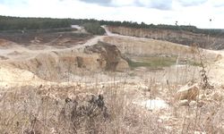 Silivri-Danamandıra'da doğa katliamı