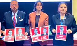 AB Konseyi’nde Akgün’ün mektubu okundu