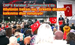 Silivri'de orman katliamına karşı miting