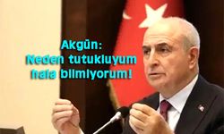 2 kitap yazdı iddianamesi yazılamadı