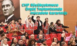 Çebi: CHP'de teslimiyet yok mücadele vardır