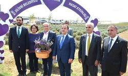 Tarımsal çalışmalarda  Işıklar gerçeği