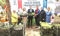 Silivri Belediyesi'nden fide dağıtımı