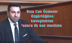 Özdemir:Masumiyet karinesi en önemli güvence