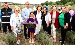 Büyükçekmece'de Lavanta Hasat Şenliği