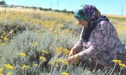 TÜRAM’da Katma Değer Üreten çalışmalar