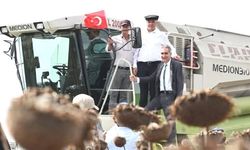 Silivri Gazitepe'de Ayçiçeği Hasat Şenliği