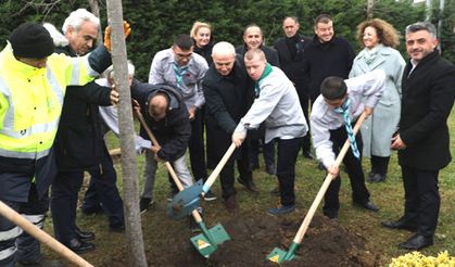 Yeni yıla ağaç dikerek girdiler