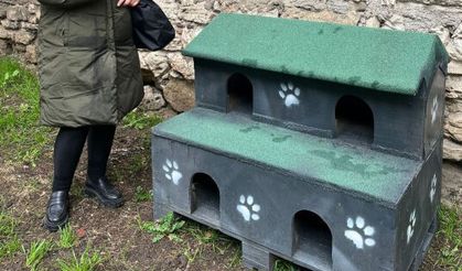 Silivri'de sokak hayvanlarına barınaklar