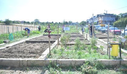 Beylikdüzü Hobi Bahçeleri'nde kura çekimi