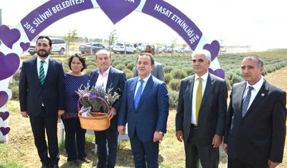 Tarımsal çalışmalarda  Işıklar gerçeği