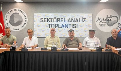 Zeytinde büyük beklenti