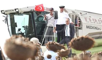 Silivri Gazitepe'de Ayçiçeği Hasat Şenliği