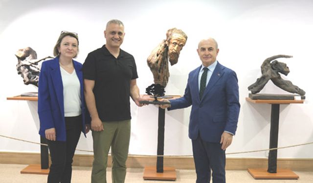 Ağaç kökleri hayat buldu