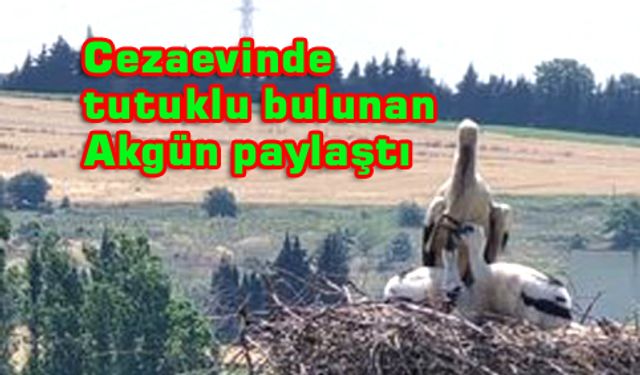 Üç yavrusuyla Cezaevi’ne umut oldu