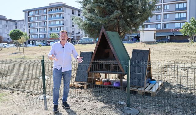 Bu proje yaygınlaştırılsın