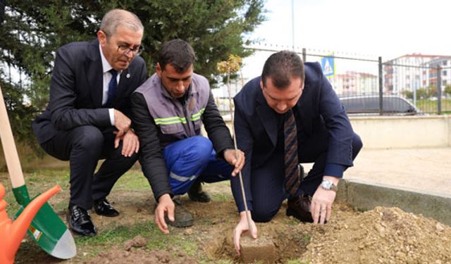 Silivri'de şehitler için fidan dikimi