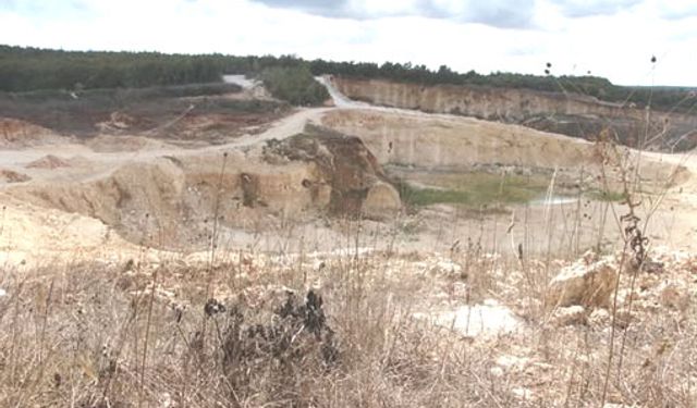 Silivri-Danamandıra'da doğa katliamı