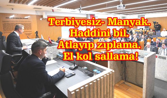 Beylikdüzü Meclisi’nde hakaretin bini bir para!