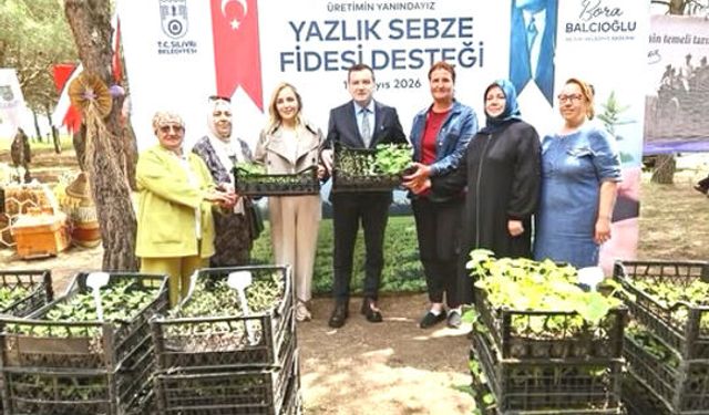 Silivri Belediyesi'nden fide dağıtımı