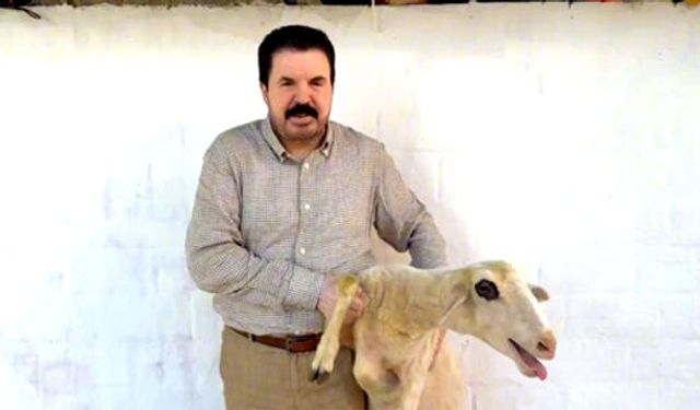 Sav'ın istifası için kurban kesti