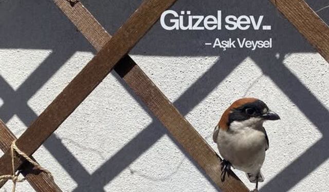 Soyer'den yüreğe dokunan sözcükler