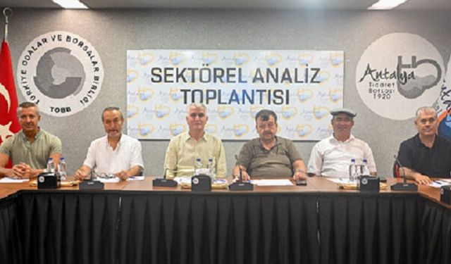 Zeytinde büyük beklenti
