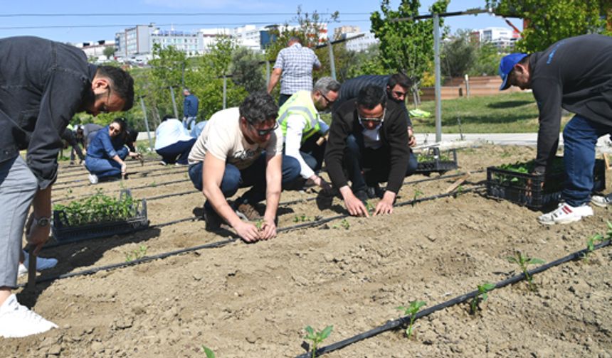 Yaşam Bahçesi yaza hazır