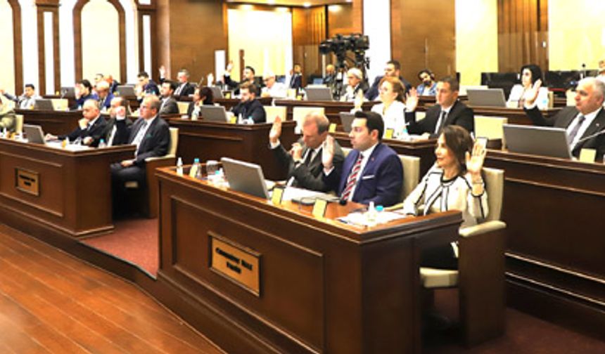 Çatılara Leylek Yuvası meclisten geçti