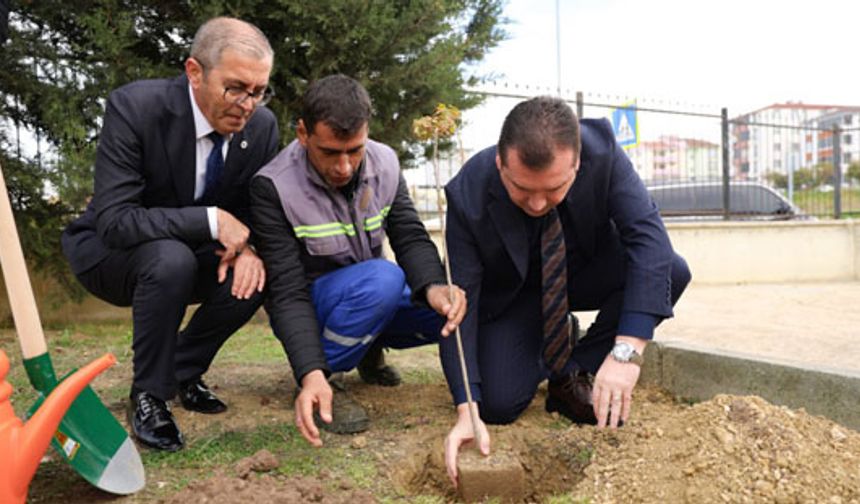 Silivri'de şehitler için fidan dikimi