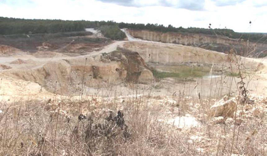 Silivri-Danamandıra'da doğa katliamı