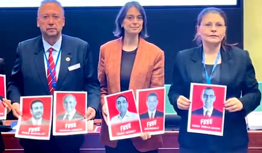 AB Konseyi’nde Akgün’ün mektubu okundu