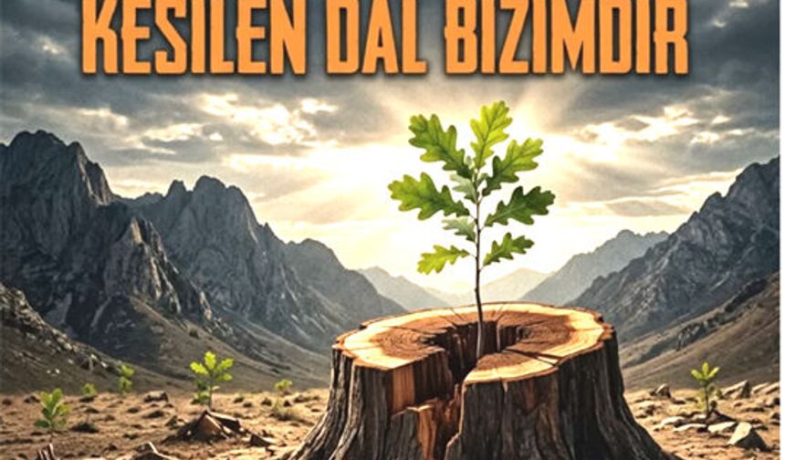 Kesilen dal bizimdir