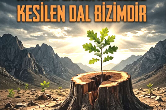 Kesilen dal bizimdir